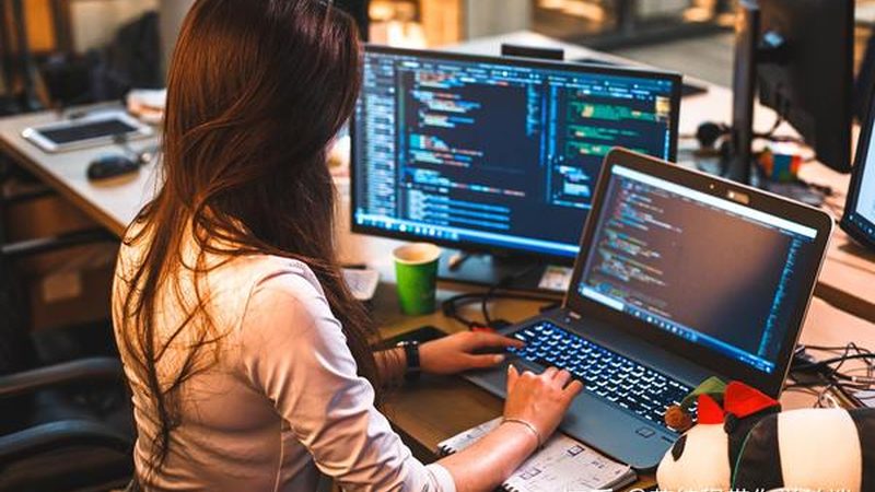 软件外包行业解决方案的竞争格局与价值维度